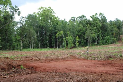 TBD - TRACT 2 Cr 4118, Jacksonville, TX, 75766 | Card Image