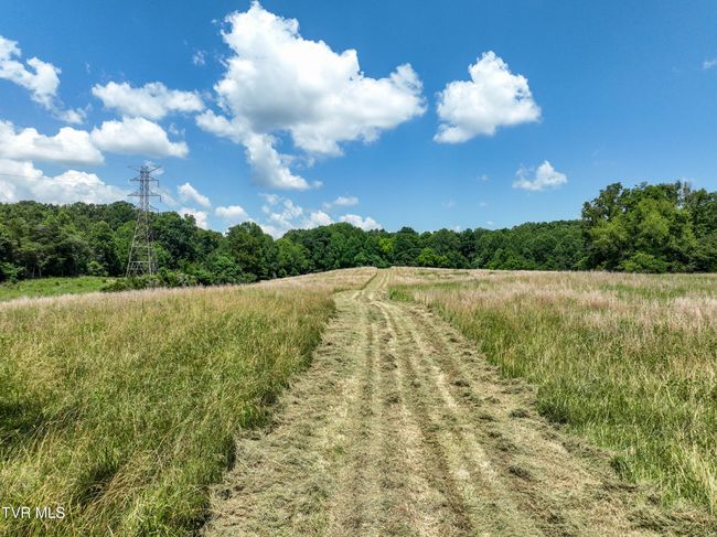 133 Devault Bridge Rd, Home with 0 bedrooms, 0 bathrooms and null parking in Piney Flats TN | Image 4
