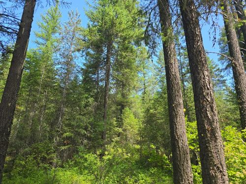 TBD Highway 395 S, Loon Lake, WA, 99148 | Card Image
