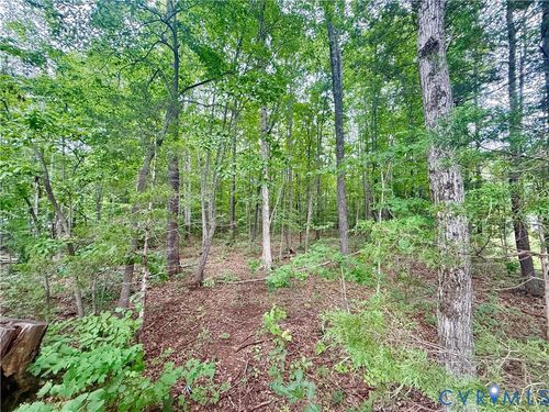 Lot 1 Forest Chapel Rd, Pamplin, VA, 23958 | Card Image