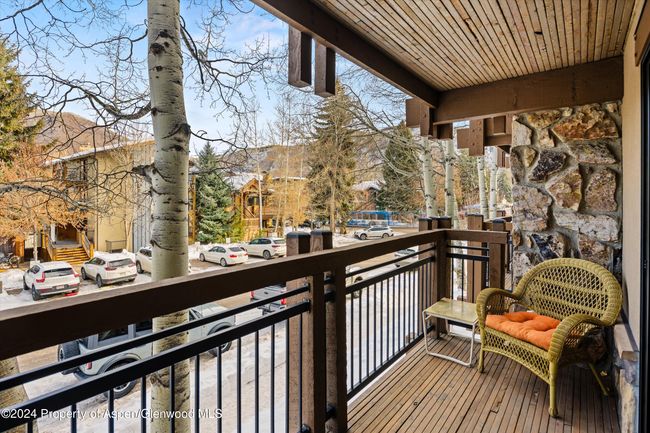 202 - 131 E Durant Ave, Condo with 2 bedrooms, 2 bathrooms and null parking in Aspen CO | Image 12
