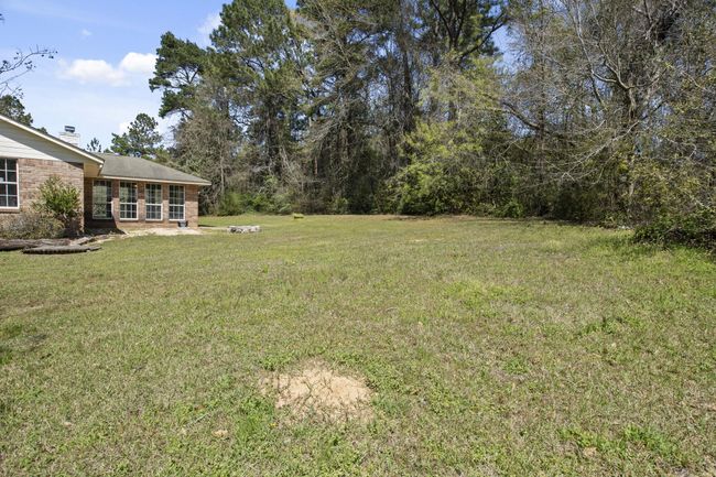 Backyard view 2 | Image 29