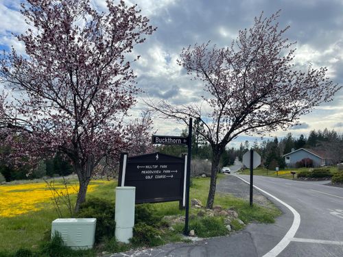 386 Buckthorn Dr, Murphys, CA, 95247 | Card Image