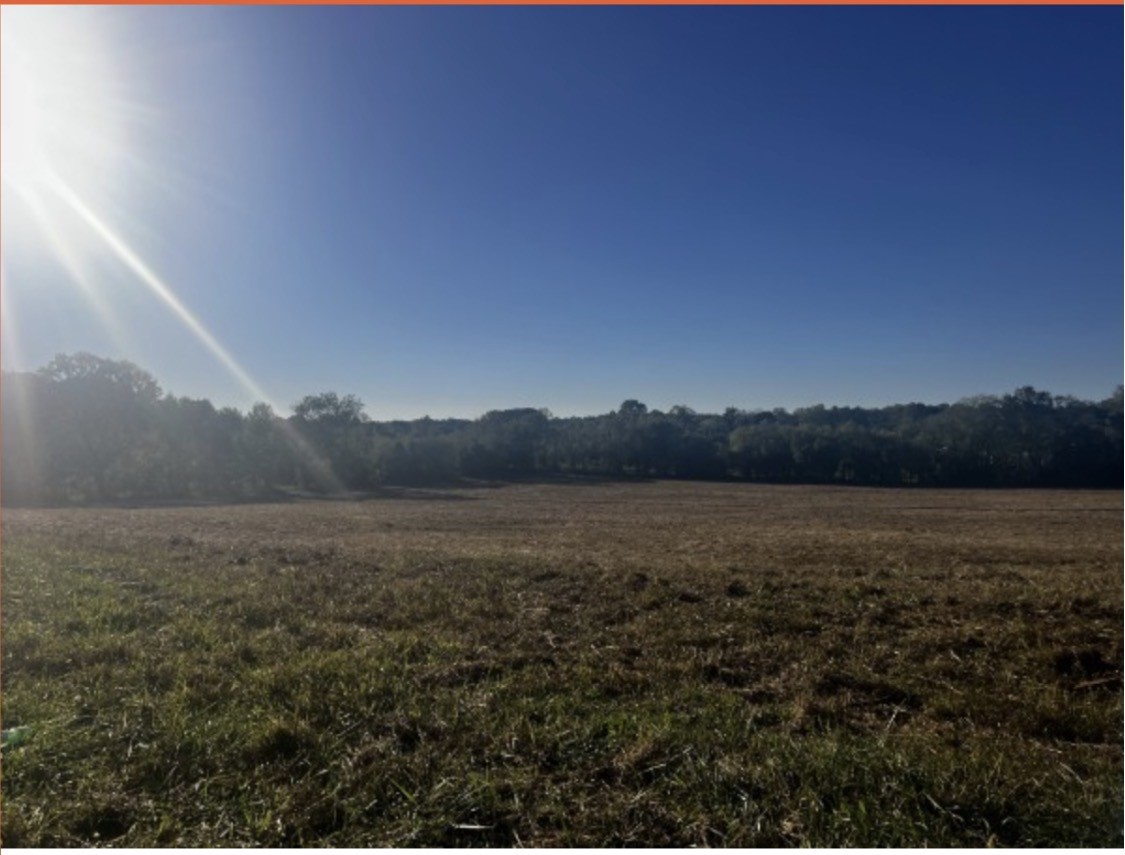 Land in Mc Minnville 3