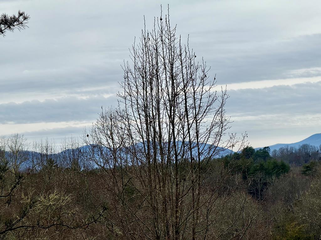 Land in Franklin
