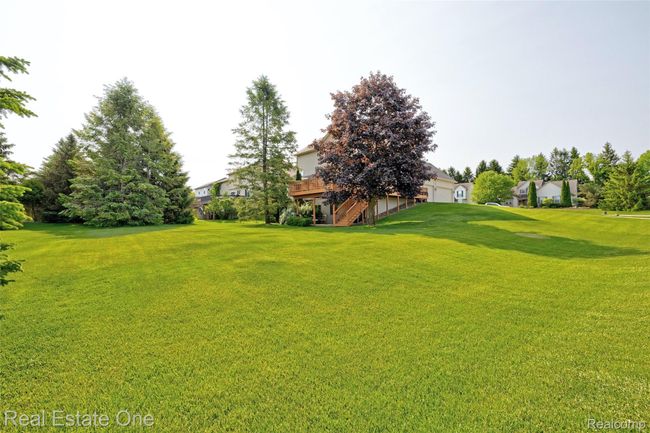 55) Backyard.jpg | Image 46