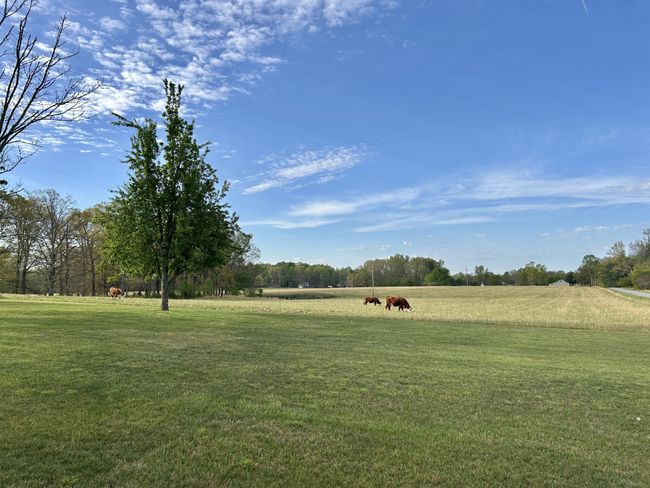 1110 Pomroy Rd, House other with 3 bedrooms, 2 bathrooms and 2 parking in Manchester TN | Image 11