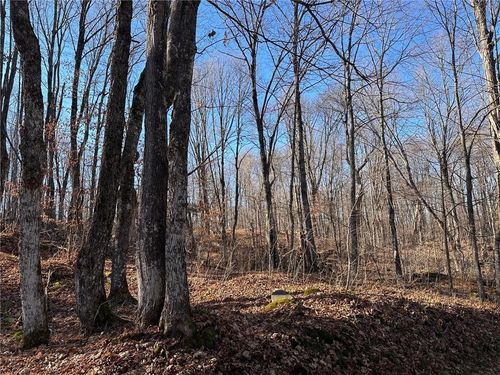Lots 54 &amp; 55 Wolf Island Road, ROUND LAKE, WI, 54843 | Card Image