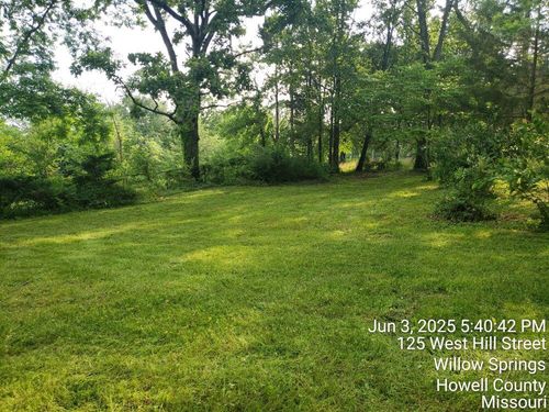 125 Hill St, Willow Springs, MO, 65793-9252 | Card Image