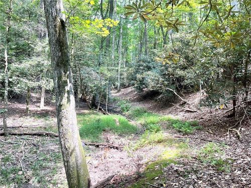 TBD Buck Dr, Hays, NC, 28635 | Card Image