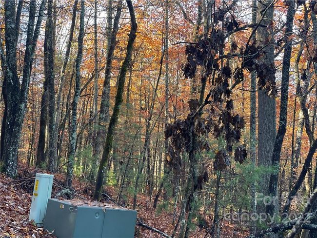 4 - 9999 Sassafras Ln, Home with 0 bedrooms, 0 bathrooms and null parking in Cedar Mountain NC | Image 21