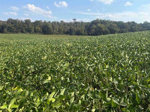 000 Mt. Carmel Rd, Decaturville, TN, 38329 | Card Image