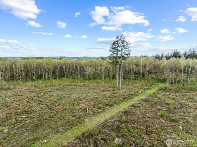 4949 Jackson Hwy, Home with 0 bedrooms, 0 bathrooms and null parking in Toledo WA | Image 8