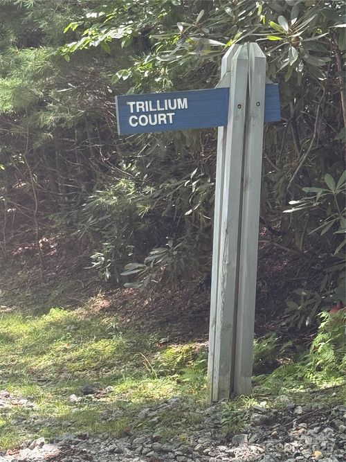 37-000 Trillium Ct, Sapphire, NC, 28774 | Card Image