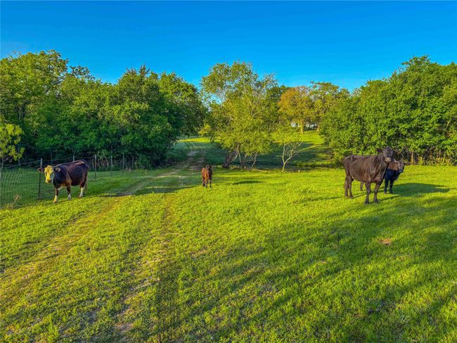 View of yard with a rural view | Image 39