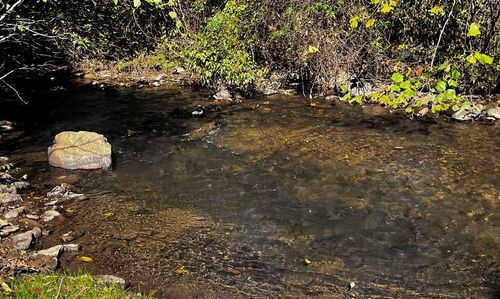 130 Riverside Dr, Stuart, VA, 24171-1600 | Card Image