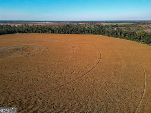 0 Martin Rd, Morgan, GA, 39866 | Card Image