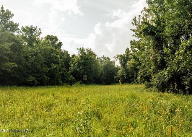 Castens Creek Pics-72 | Image 33