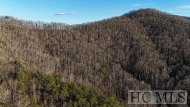 528 Early Deitz Rd, Home with 0 bedrooms, 0 bathrooms and null parking in Sylva NC | Image 5