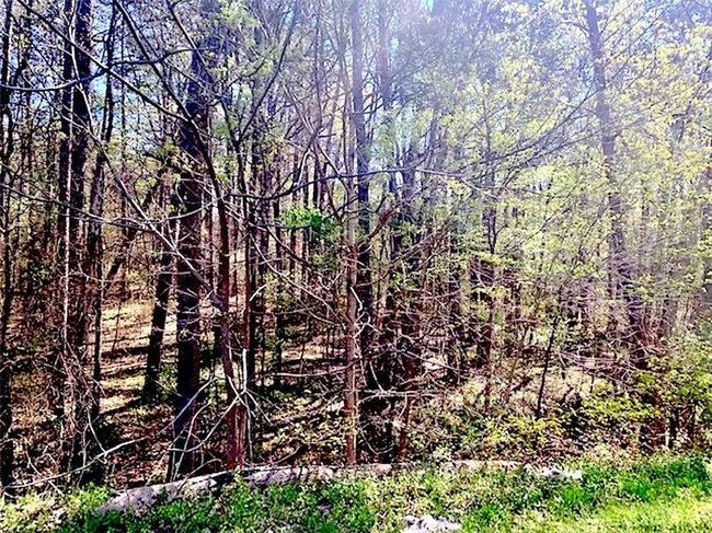 131 N Wilkins Rd | Image 4