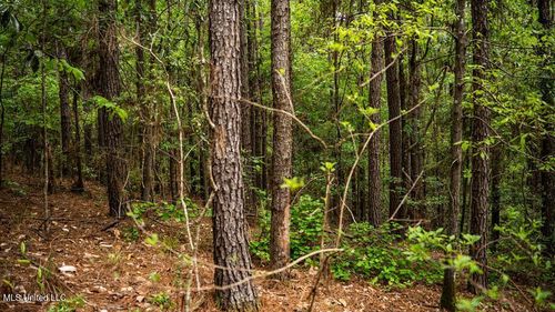 2683 Highway 33 N, Crosby, MS, 39633 | Card Image