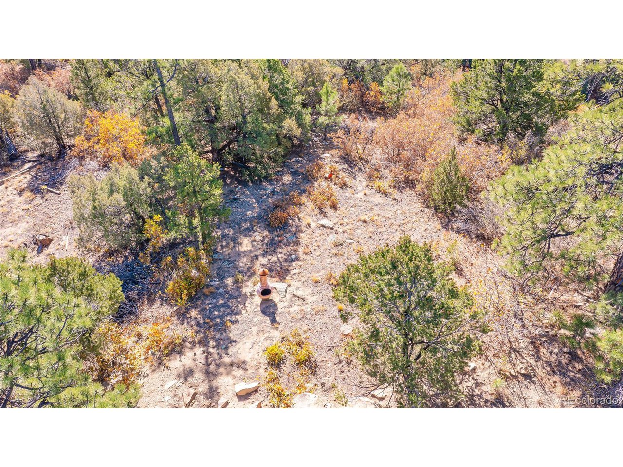 Land in Weston 2