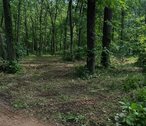 13933 Fairbanks St, Cedar Lake, IN, 46303 | Card Image