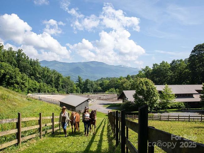 239 - Lt 239 Down The Hill Rd, Home with 0 bedrooms, 0 bathrooms and null parking in Sylva NC | Image 11