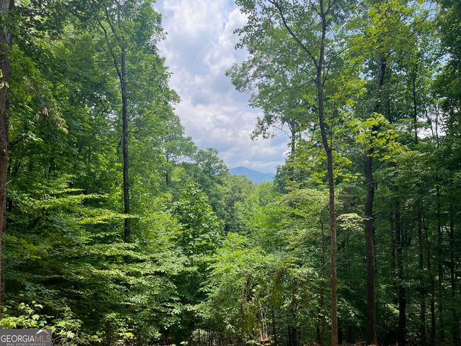 0 Shadow Mountain Dr, Home with 0 bedrooms, 0 bathrooms and null parking in Dillard GA | Image 5