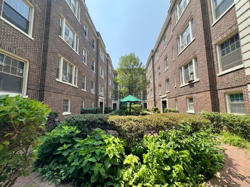 apt-2-441 N Lombard Ave, Oak Park, IL, 60302-5301 | Card Image