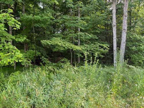 60 Summer Leigh Trail, Utterson, ON, P0B1M0 | Card Image