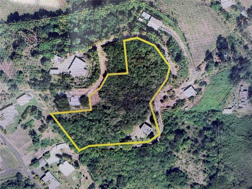 0.7 Km Carr. 184 Bo. Cacao Alto, PATILLAS, PR, 00723 | Card Image