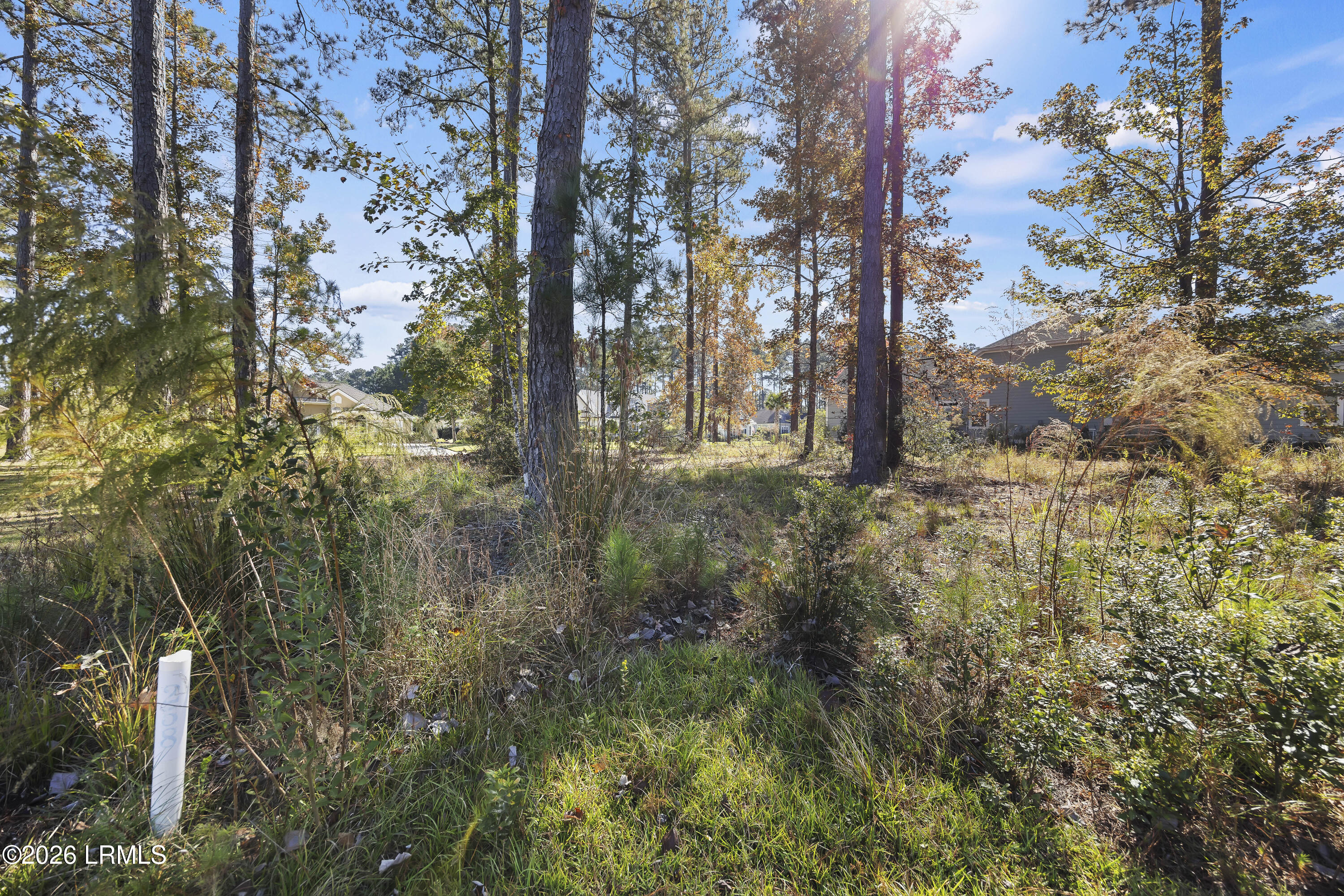 Land in Hardeeville 5