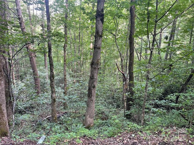 2600 Canada Rd, Home with 0 bedrooms, 0 bathrooms and null parking in Tuckasegee NC | Image 9