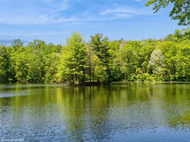 Water view with a forest | Image 4