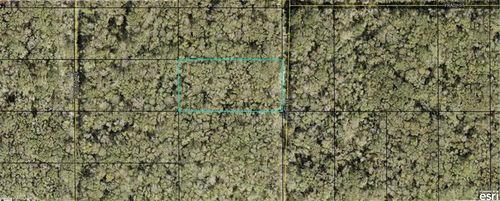 21 Ruth Ave, Hastings, FL, 32145 | Card Image