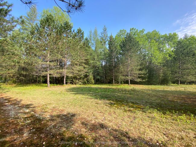 346 Brennans Rd, Home with 0 bedrooms, 0 bathrooms and null parking in Joly ON | Image 13