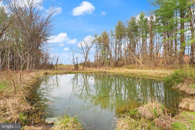 38956 Rickard Rd, House other with 3 bedrooms, 3 bathrooms and null parking in LOVETTSVILLE VA | Image 67