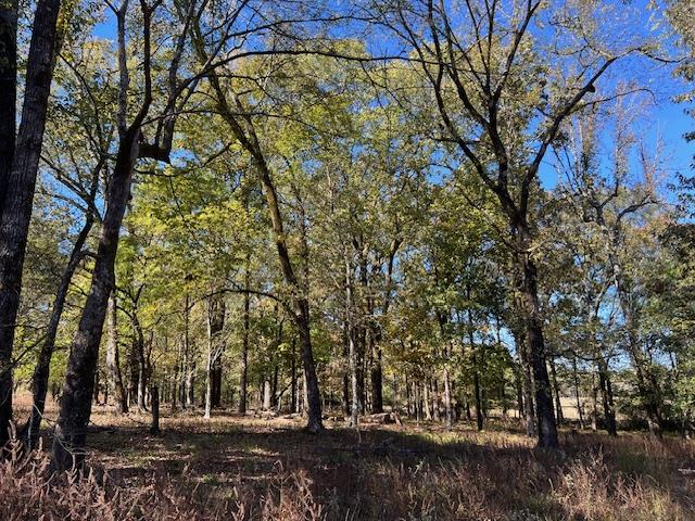Land in Broken Bow 3