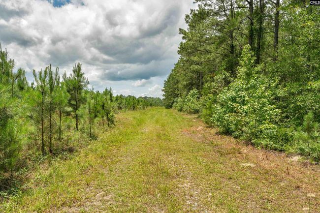 0000 N Brewington Rd, Home with 0 bedrooms, 0 bathrooms and null parking in Manning SC | Image 46