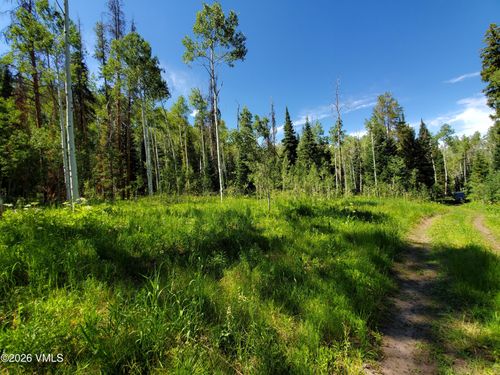 20381 King Bolt Trl, Oak Creek, CO, 80467 | Card Image