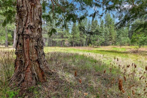 lot-1-13824 Baker Rd, Camptonville, CA, 95922 | Card Image