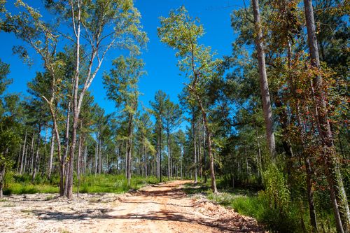 575 Rabbit Pen Drive, Appling, GA, 30802 | Card Image