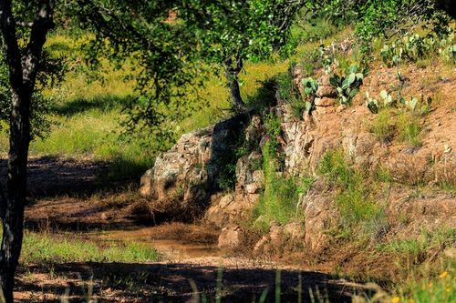 3736-6 County Road 113, Llano, TX, 78643 | Card Image