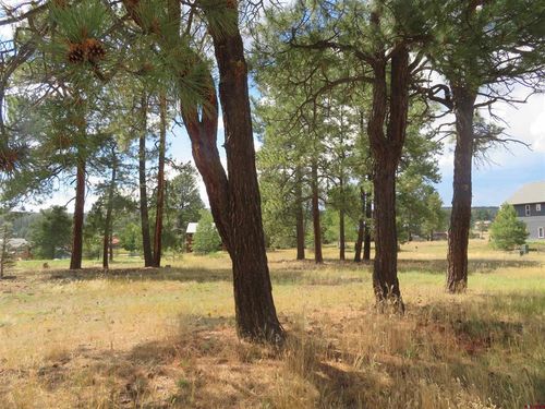 142 Hatcher Cir, Pagosa Springs, CO, 81147-8855 | Card Image