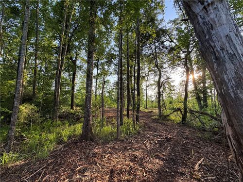 0 Tallapoosa Farm Rd, Camp Hill, AL, 36850 | Card Image