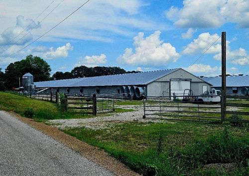 1400 Co Rd 70, Rogersville, AL, 35652 | Card Image