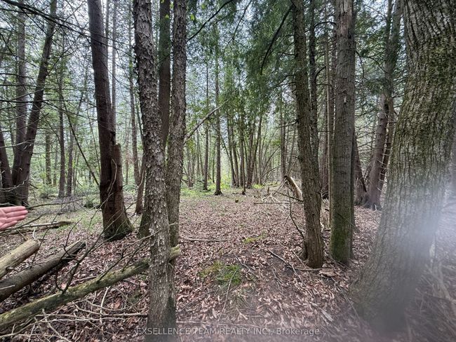 000 Kenyon Dam Rd, Home with 0 bedrooms, 0 bathrooms and null parking in North Glengarry ON | Image 4