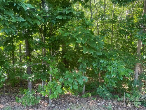 0 Silver Springs Rd, Norwood, NC, 28128 | Card Image