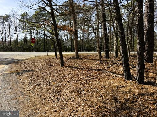3 Pinewood Dr, LITTLE EGG HARBOR TWP, NJ, 08087-2934 | Card Image